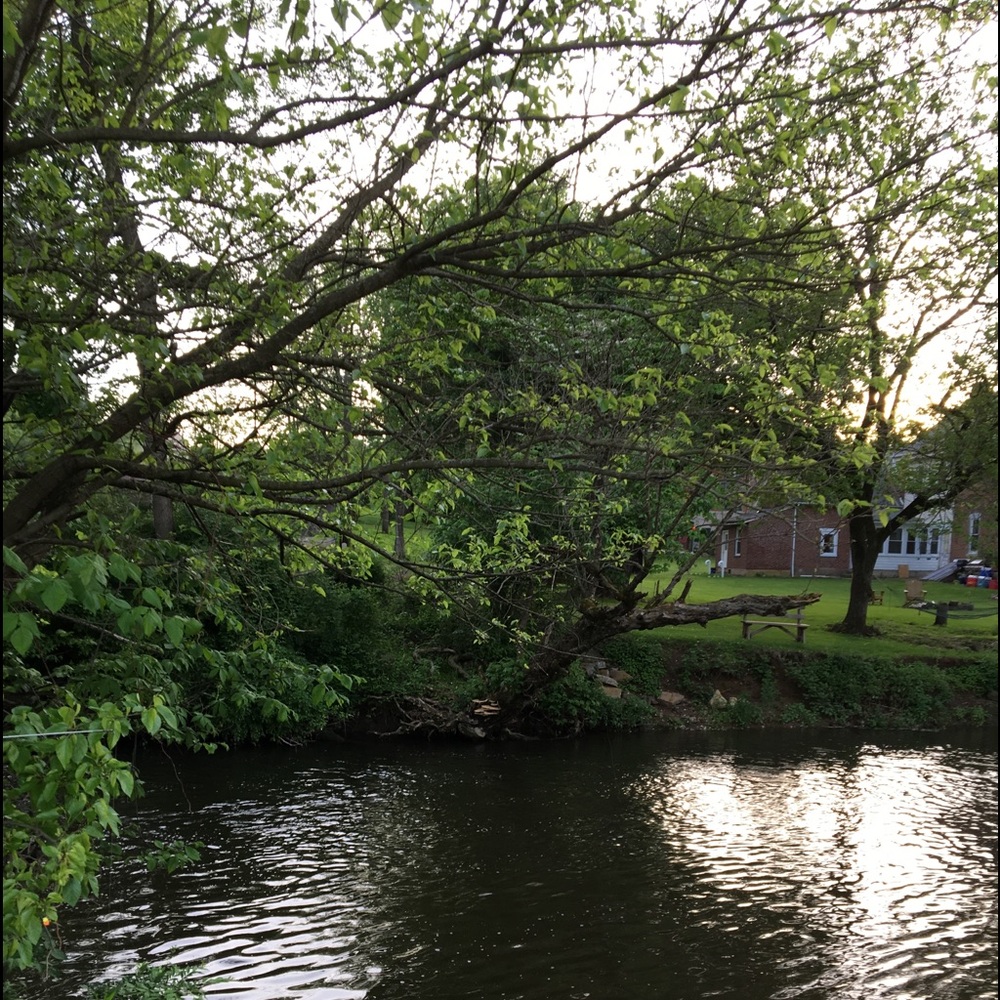 Meet your Posher, Danetza